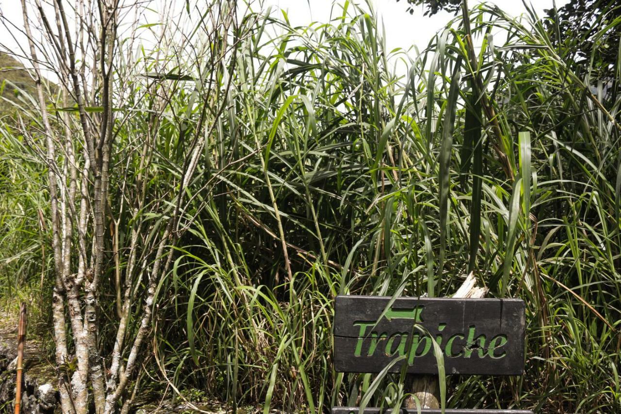 Hosteria El Trapiche Lodge & Spa Banos  Exterior photo